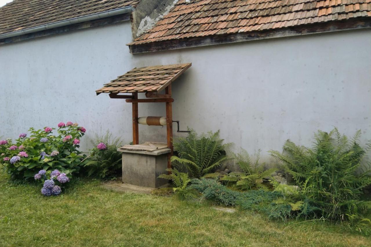 Galeria Turismului Montan Cartisoara Exterior foto