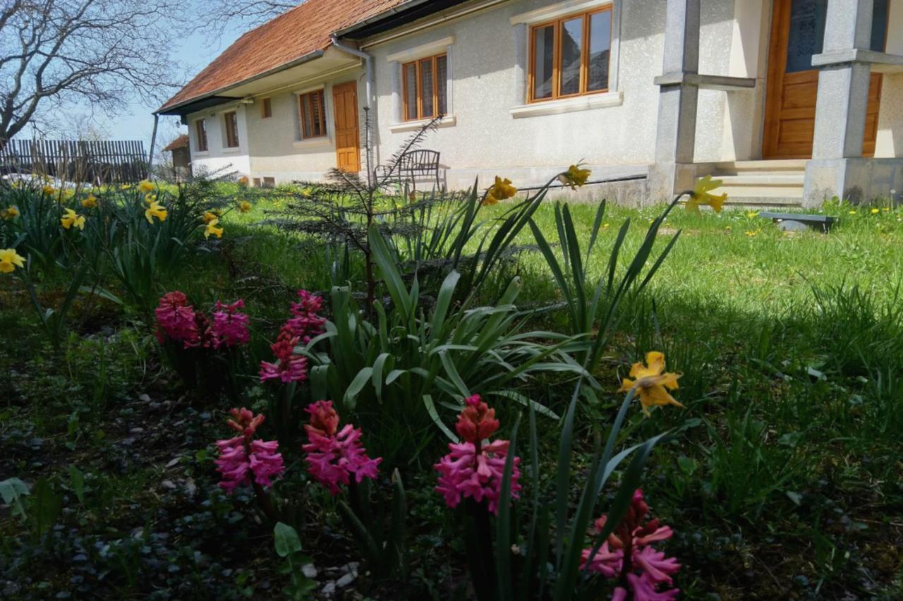 Galeria Turismului Montan Cartisoara Exterior foto